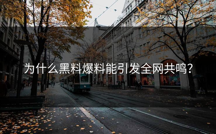 为什么黑料爆料能引发全网共鸣？