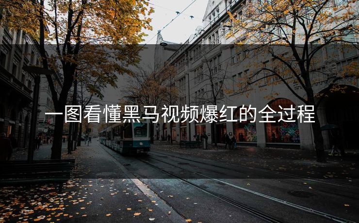 一图看懂黑马视频爆红的全过程