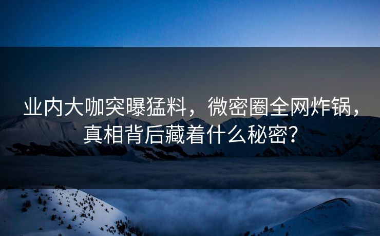 业内大咖突曝猛料，微密圈全网炸锅，真相背后藏着什么秘密？