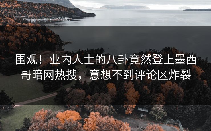 围观！业内人士的八卦竟然登上墨西哥暗网热搜，意想不到评论区炸裂