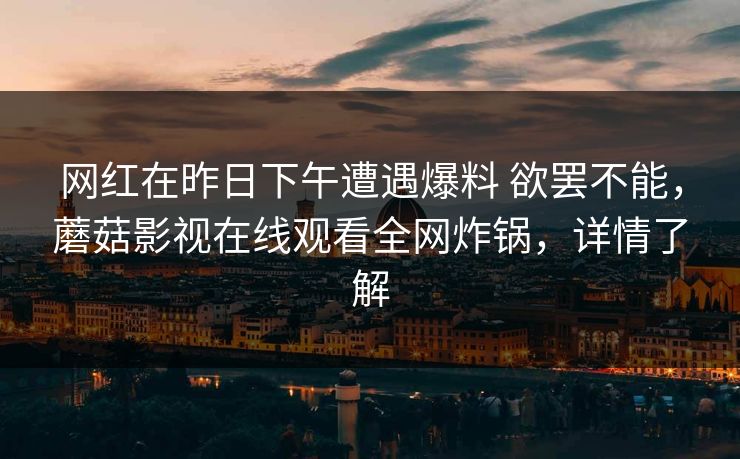 网红在昨日下午遭遇爆料 欲罢不能，蘑菇影视在线观看全网炸锅，详情了解